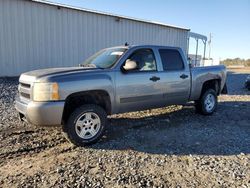 Chevrolet Silverado c1500 Crew cab salvage cars for sale: 2007 Chevrolet Silverado C1500 Crew Cab