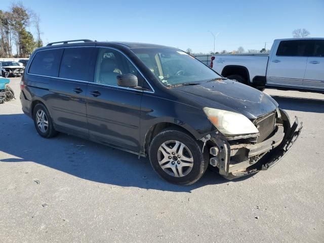 2005 Honda Odyssey EXL