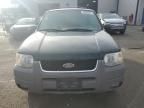 2001 Ford Escape XLT