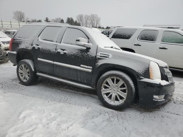 2013 Cadillac Escalade Platinum Hybrid