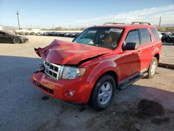 Salvage cars for sale at Tucson, AZ auction: 2009 Ford Escape XLT