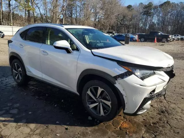 2020 Lexus NX 300H