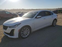 Salvage cars for sale at Harleyville, SC auction: 2023 Cadillac CT5 Luxury