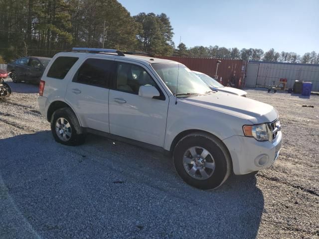 2011 Ford Escape Limited