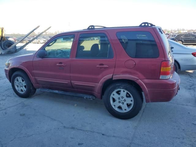 2007 Ford Escape Limited