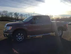 2011 Ford F150 Super Cab en venta en New Britain, CT