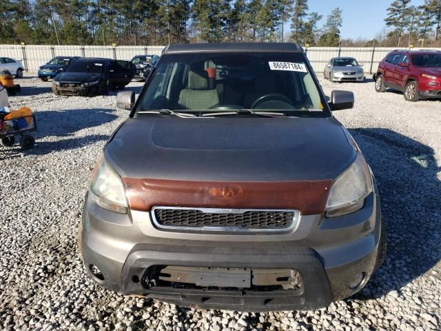 2010 KIA Soul +