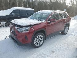 Salvage cars for sale at auction: 2025 Toyota Rav4 XLE