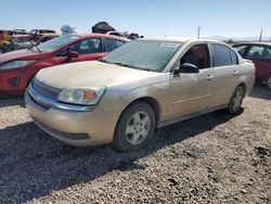 Salvage cars for sale at Tucson, AZ auction: 2005 Chevrolet Malibu LS