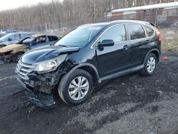 Salvage cars for sale at Baltimore, MD auction: 2014 Honda CR-V EXL