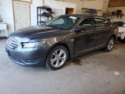 Salvage cars for sale at Ham Lake, MN auction: 2018 Ford Taurus SEL