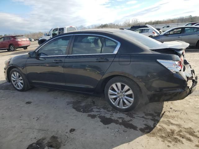 2011 Honda Accord EXL