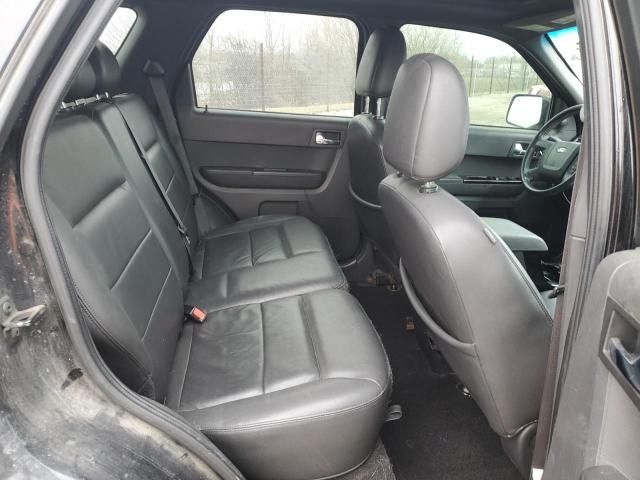 2008 Ford Escape Limited