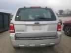 2008 Ford Escape XLS