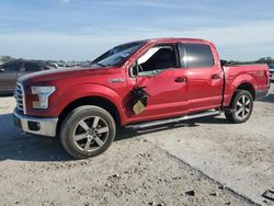 Salvage cars for sale at West Palm Beach, FL auction: 2016 Ford F150 Supercrew