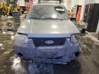 2006 Ford Escape XLT