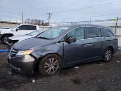 Honda Vehiculos salvage en venta: 2014 Honda Odyssey EXL