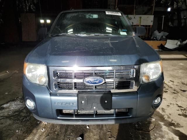 2011 Ford Escape XLT