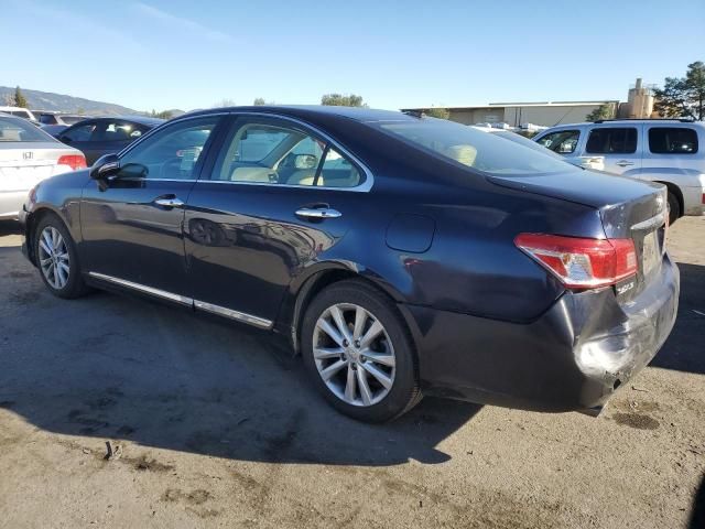 2010 Lexus ES 350