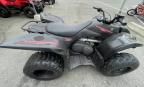 2007 Yamaha YFM450 FAS