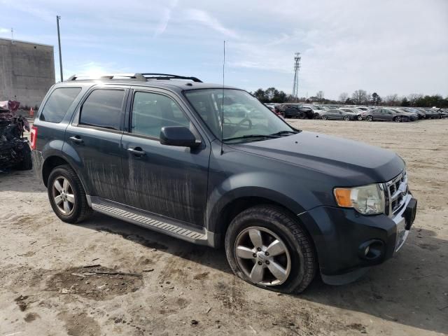 2009 Ford Escape Limited