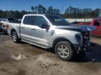 2024 Ford F150 XLT