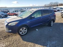 Salvage cars for sale at Davison, MI auction: 2013 Ford Escape SE