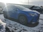 2023 Lexus NX 350H