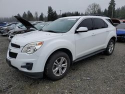 Chevrolet salvage cars for sale: 2013 Chevrolet Equinox LT