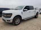 2024 Ford F150 XLT