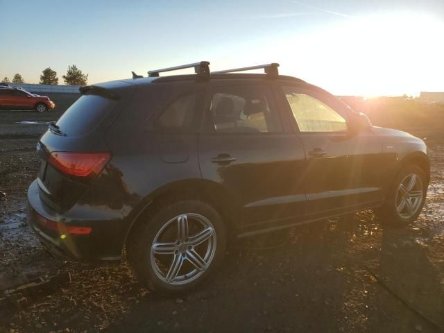 2016 Audi SQ5 Premium Plus