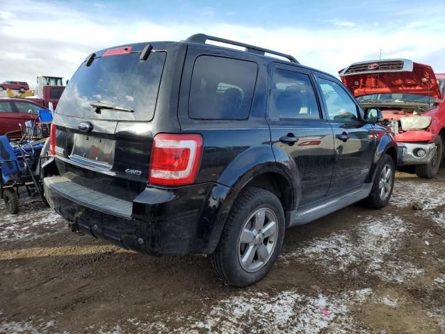 2008 Ford Escape Limited