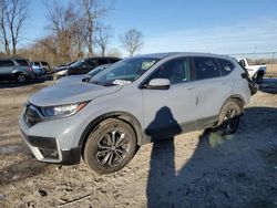 Salvage cars for sale at Cicero, IN auction: 2022 Honda CR-V EXL