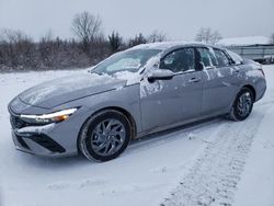 Hyundai Elantra salvage cars for sale: 2024 Hyundai Elantra SEL