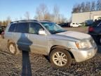 2006 Toyota Highlander Hybrid