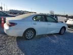 2004 Lexus ES 330