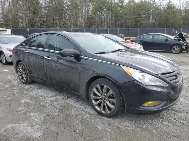 2013 Hyundai Sonata SE