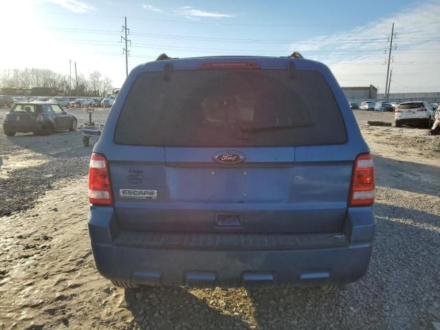 2010 Ford Escape XLT