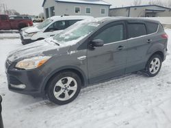 2015 Ford Escape SE en venta en Barberton, OH