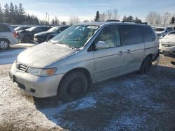 Run And Drives Cars for sale at auction: 2002 Honda Odyssey EX