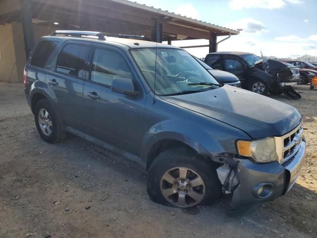 2011 Ford Escape Limited