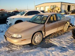 Chevrolet Lumina salvage cars for sale: 1998 Chevrolet Lumina Base