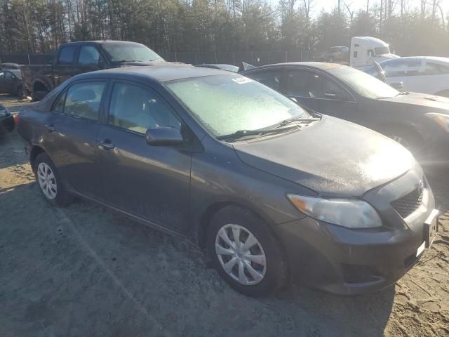 2009 Toyota Corolla Base