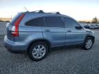 2007 Honda CR-V EXL