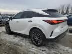 2024 Lexus RX 350 Base