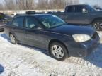 2006 Chevrolet Malibu LT