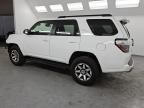 2024 Toyota 4runner SR5/SR5 Premium