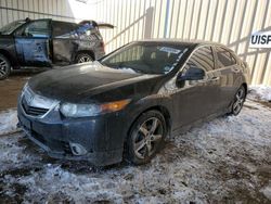 Salvage cars for sale at Brighton, CO auction: 2012 Acura TSX SE