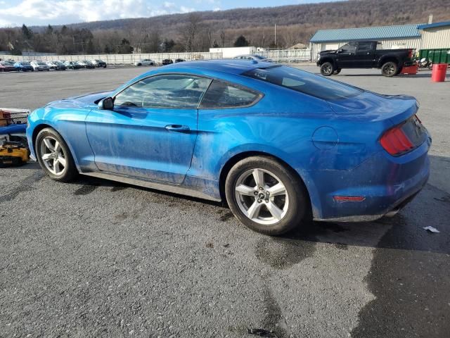 2019 Ford Mustang