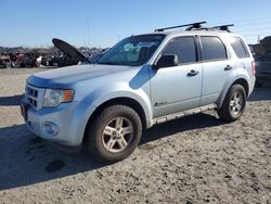 2009 Ford Escape Hybrid en venta en Eugene, OR